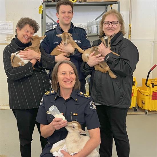 Leanne Heppell and other BCEHS leaders cuddled and bottle-fed baby goats at the ambulance station in Fort St. John