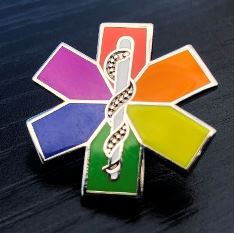 BCEHS Pride pin